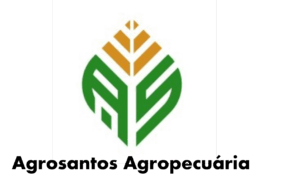Imagem2