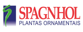 Imagem5
